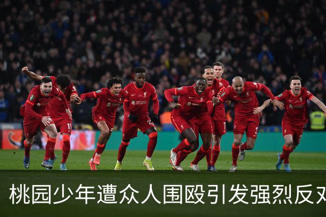桃园少年遭众人围殴引发强烈反对霸凌潮